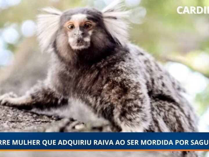 Morre mulher de 56 anos que contraiu raiva humana após mordida de sagui