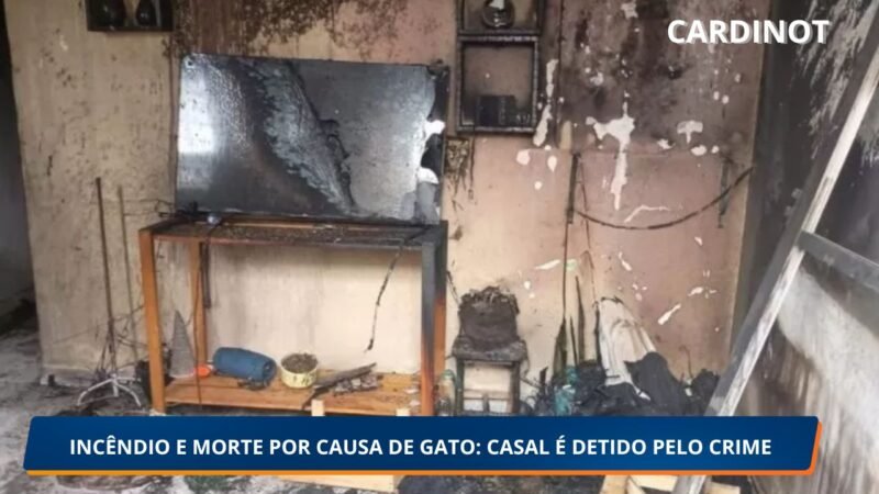 INCÊNDIO E MORTE POR CAUSA DE GATO: CASAL É DETIDO PELO CRIME