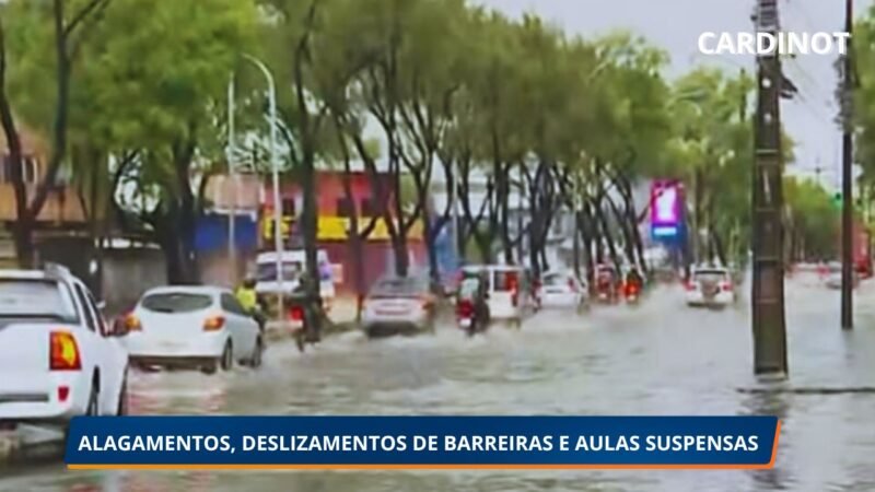 Ruas alagadas, aulas suspensas e queda de árvores: chuvas intensas causam transtornos no Grande Recife