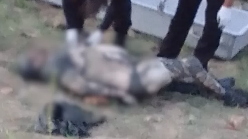 🚨 Mistério e brutalidade: corpo de homem é encontrado em barreiro enrolado em lençol e rede na zona rural de Frei Miguelinho/PE 😱🔪