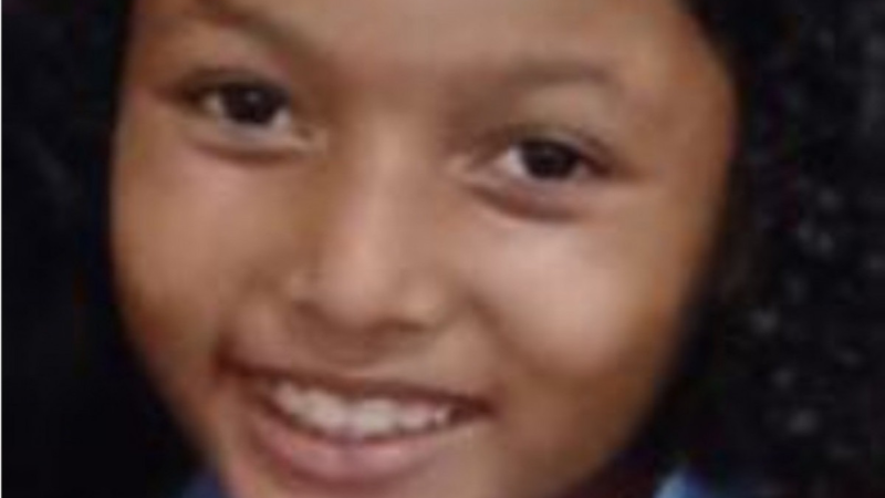 🎯 Menina de 9 anos leva tiro na cabeça em ataque criminoso na Zona da Mata de PE; alvo do atentado também ficou ferido