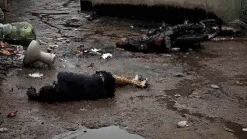 🚨 Dupla é executada a tiros em motocicleta na Zona Norte do Recife