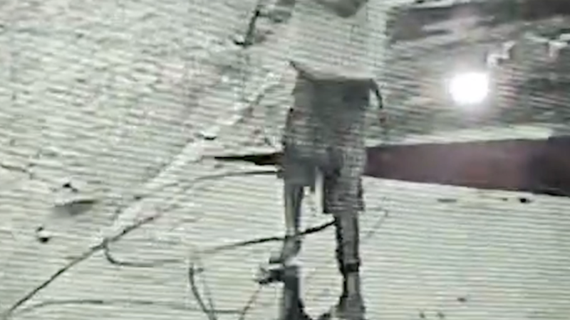 📹 ONDA DE FURTOS EM OLINDA: SUSPEITO COM TORNOZELEIRA, MULHER LEVA ROUPA DE MANEQUIM E BICICLETA É ROUBADA NA CALÇADA