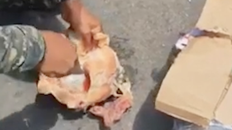 🚨 POLÍCIA ENCONTRA DROGA ESCONDIDA EM GALINHA CONGELADA E EXTRATO DE TOMATE EM NORONHA