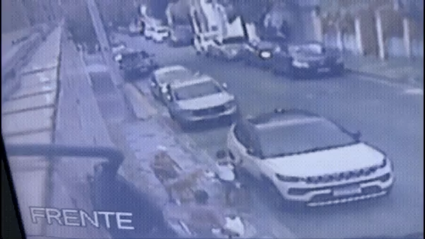 RECIFE: MULHER DE 65 ANOS E CADELA SÃO ATACADAS POR CÃO DE GRANDE PORTE NAS GRAÇAS