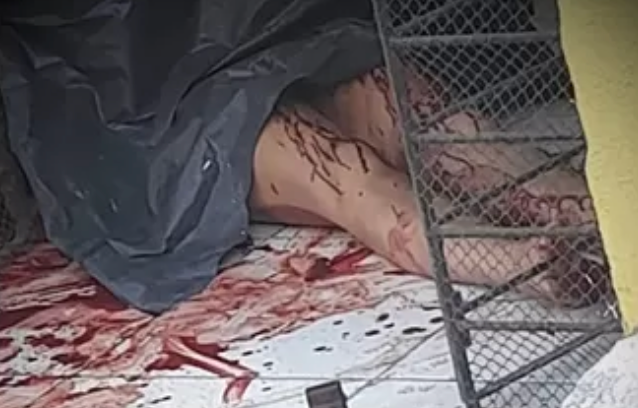 💔 MULHER É MORTA A FACADAS PELO COMPANHEIRO EM RIBEIRÃO; SUSPEITO FOI PRESO HORAS DEPOIS