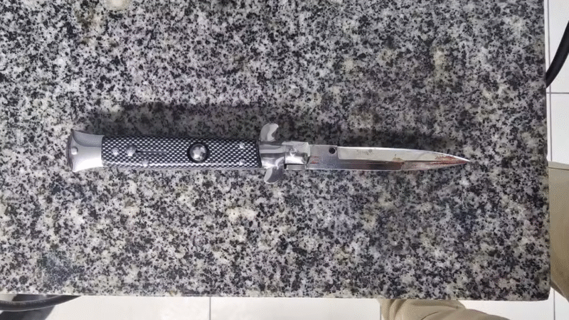 🩸 Jovem que matou primo de 10 anos a facadas em Altinho disse ter “ouvido vozes”, afirma polícia