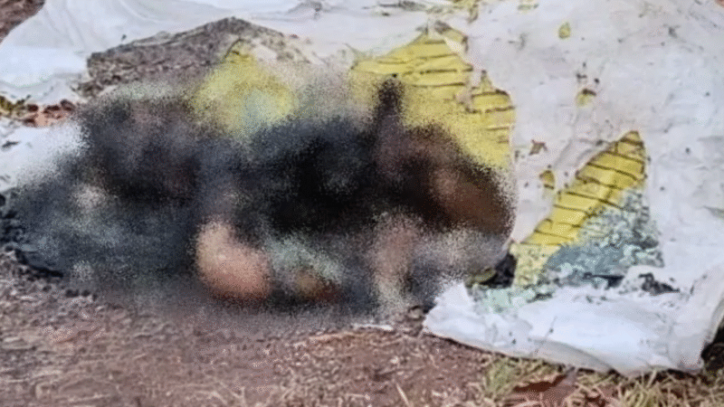 Corpo de jovem desaparecido é encontrado queimado perto de lixão em Paulista