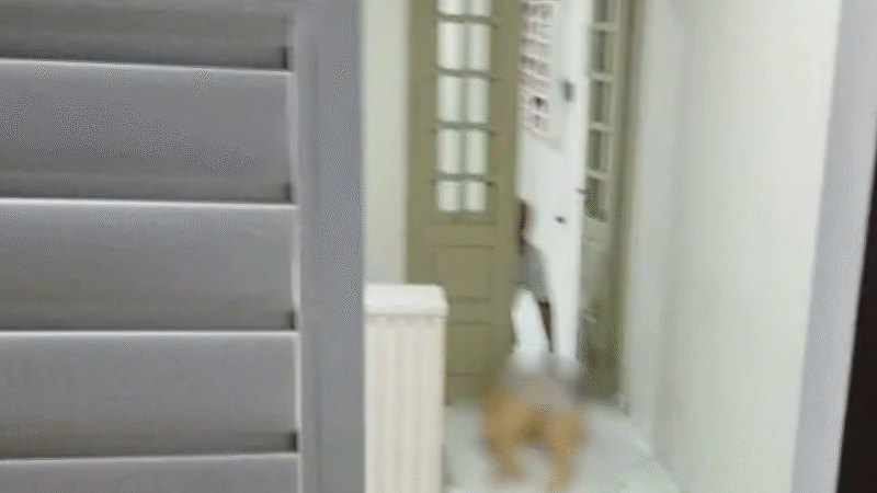 Manicure é executada a tiros na garagem de casa em Santa Cruz do Capibaribe