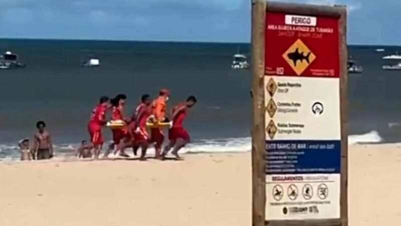 Menino de 11 anos é atacado por tubarão em Piedade, praia com maior histórico de incidentes em Pernambuco