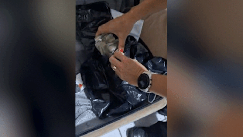 OPERAÇÃO DA PF CONTRA FRAUDES NO INSS CHEGA A PERNAMBUCO E ENCONTRA MALA COM DINHEIRO EM ESPÉCIE