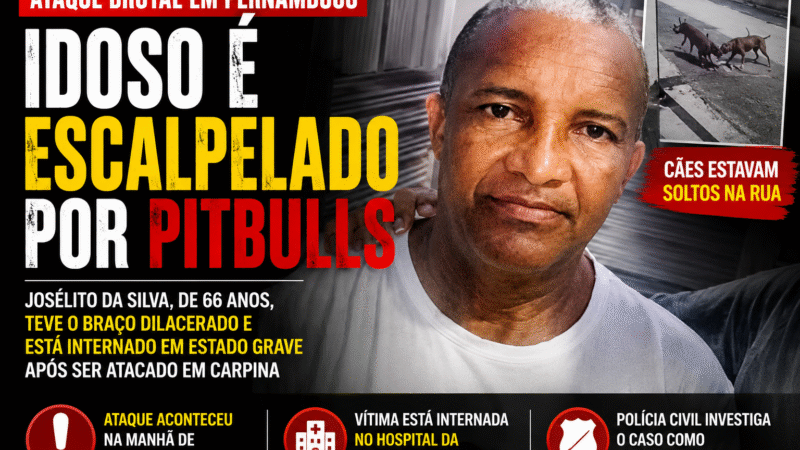 IDOSO É ESCALPELADO E TEM BRAÇO DILACERADO APÓS ATAQUE DE PITBULLS EM PERNAMBUCO