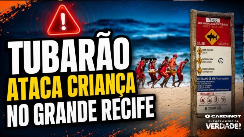 TUBARÃO ATACA CRIANÇA de 11 ANOS na Praia de PIEDADE, GRANDE RECIFE! VEJA AGORA