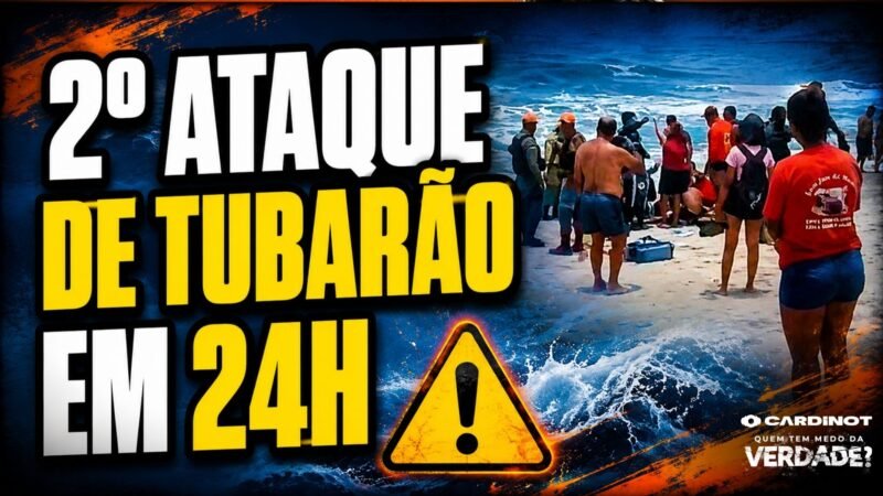 2º Ataque de Tubarão em 24h na Praia de Boa Viagem, Recife