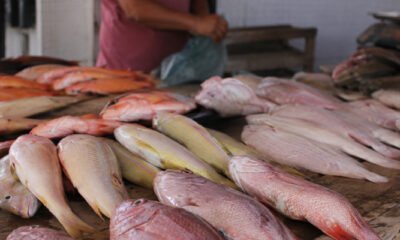 Fiscalização sanitária no Mercadão Público do Cabo