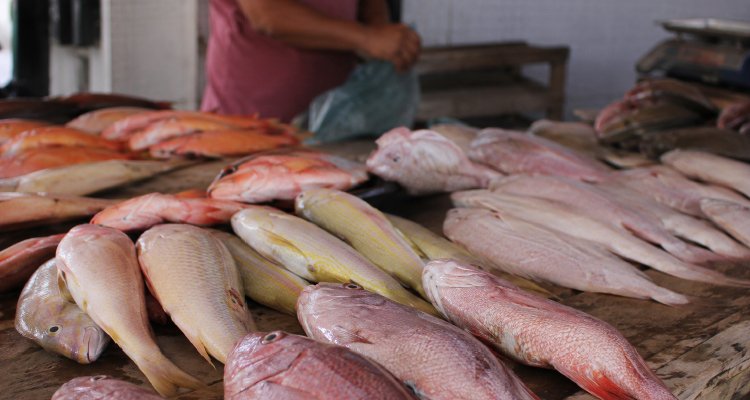Fiscalização sanitária no Mercadão Público do Cabo