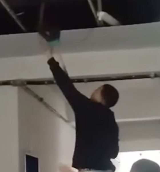 Forro de PVC caído em escola estadual no Recife
