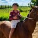 João Lucas Ferreira da Silva, de 10 anos, vítima de atropelamento em Petrolândia