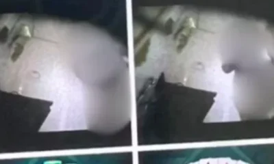 Registros encontrados no celular do ex-patrão em Minas Gerais