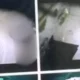 Registros encontrados no celular do ex-patrão em Minas Gerais